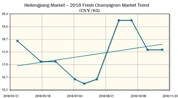 Heilongjiang Market -- 2018 Fresh Champignon Market Trend